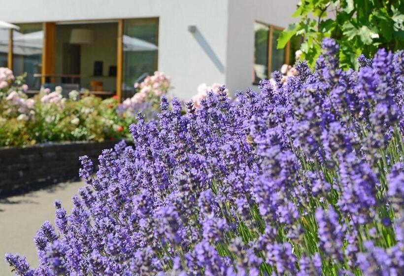 酒店 Weinkulturgut Longenschloder