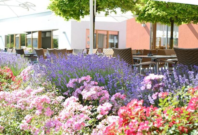 酒店 Weinkulturgut Longenschloder