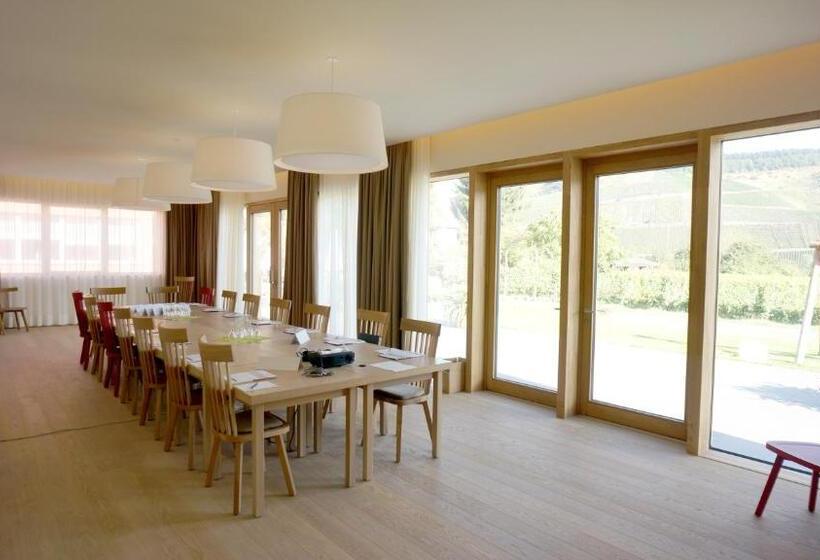 ホテル Weinkulturgut Longenschloder