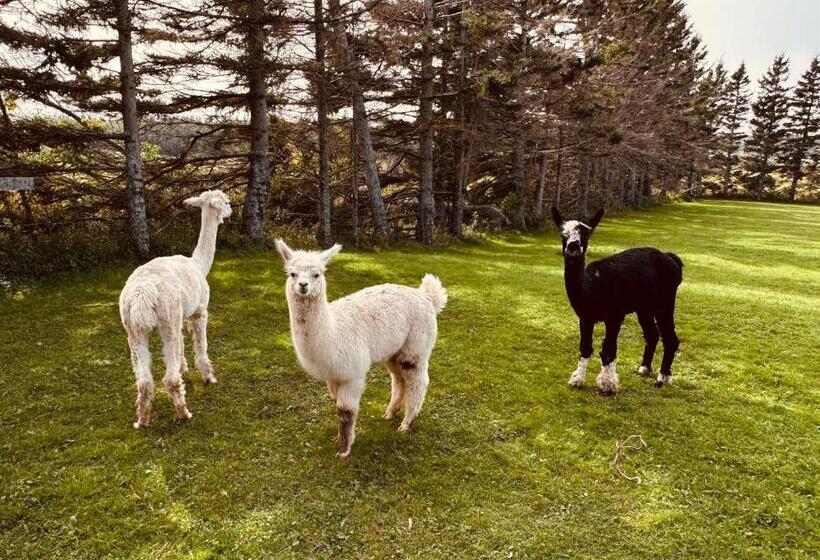 Island Life Cottages