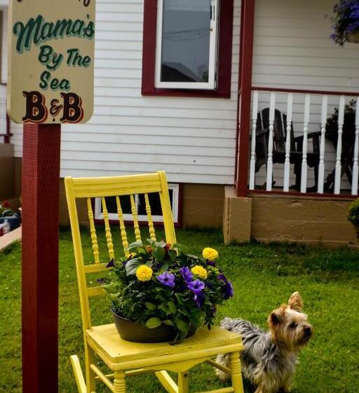 Mama`s By The Sea B&b