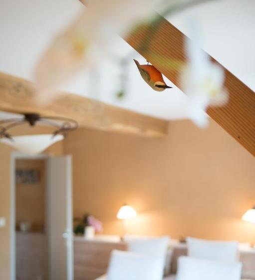 פנסיון Maison D’hôtes Absolut Oiseaux