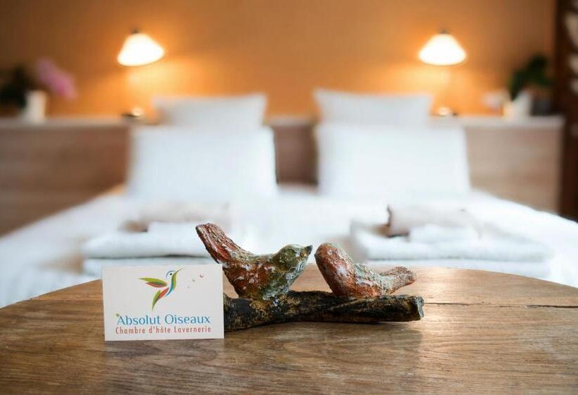 פנסיון Maison D’hôtes Absolut Oiseaux