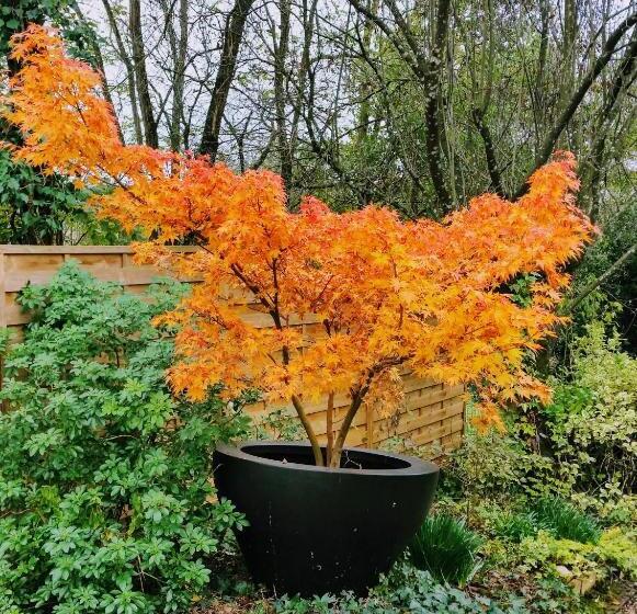 פנסיון Maison D’hôtes Absolut Oiseaux