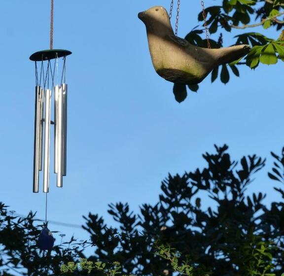 פנסיון Maison D’hôtes Absolut Oiseaux