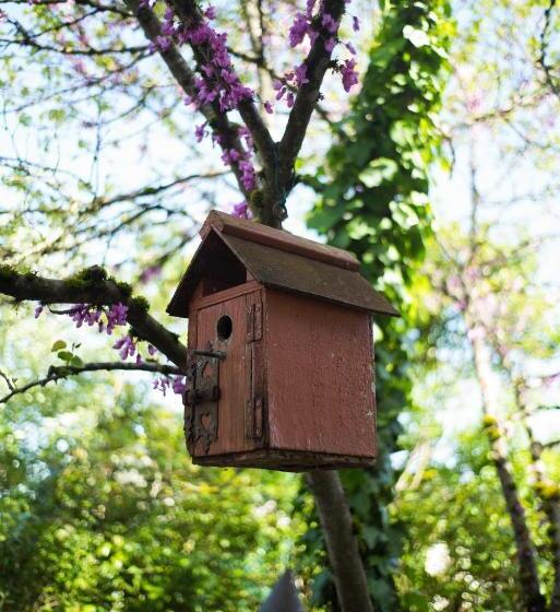 펜션 Maison D’hôtes Absolut Oiseaux