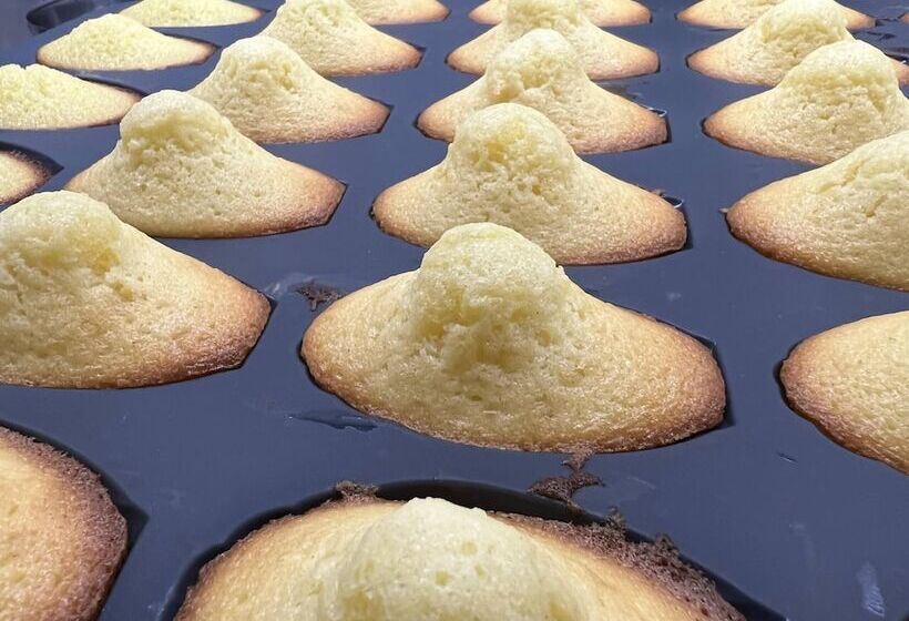 بنسيون Au 10 Bed & Breakfast