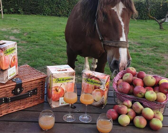 Пансион Au Fer à Cheval