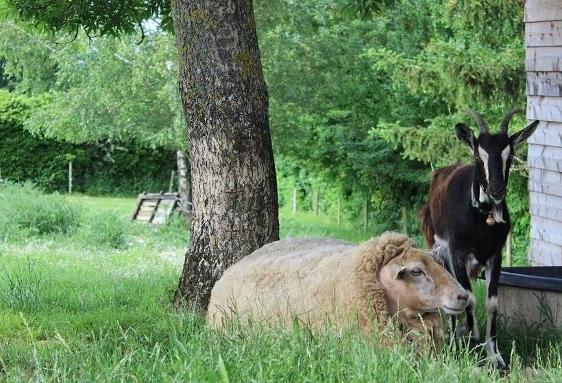 פנסיון Au Vieux Pressoir