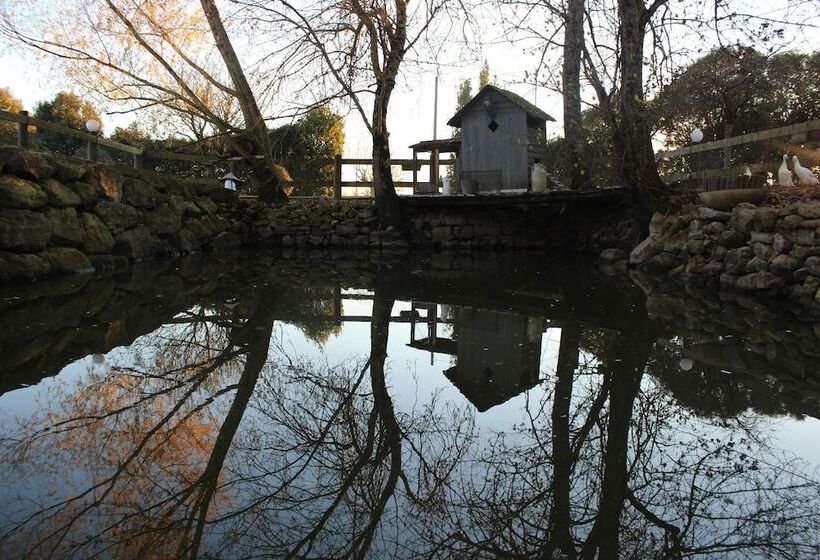 פנסיון Au Vieux Pressoir