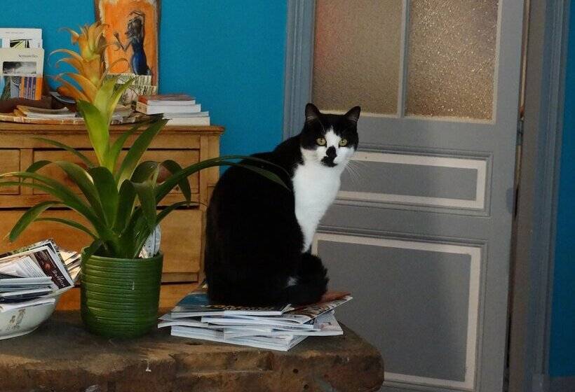 ペンション Chambre D Hotes Girolles Les Forges