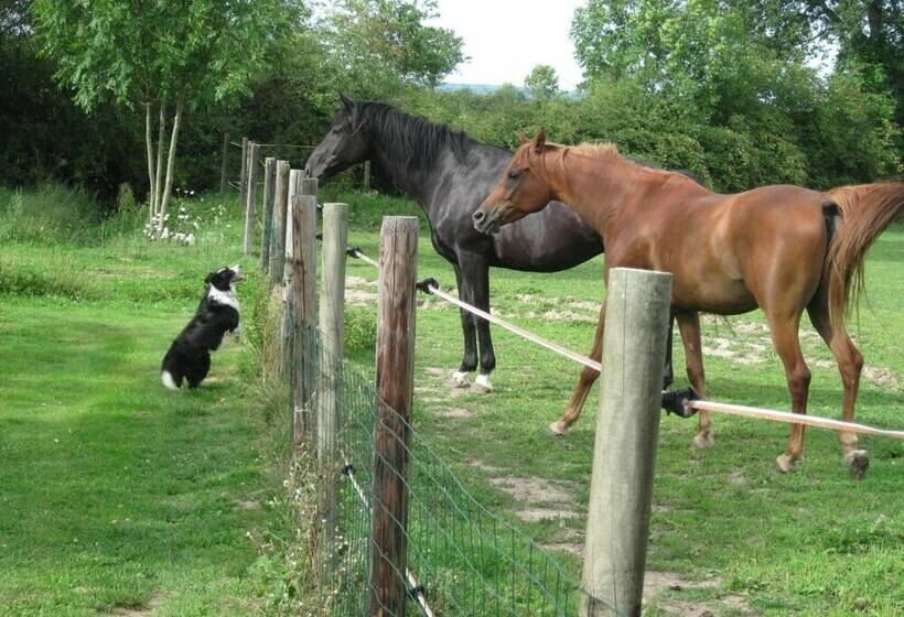 פנסיון B&b Villaine