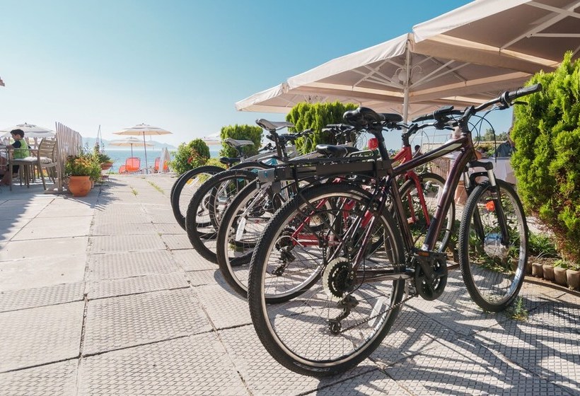 بنسيون Beachfront Modern Flatbreakfast Included