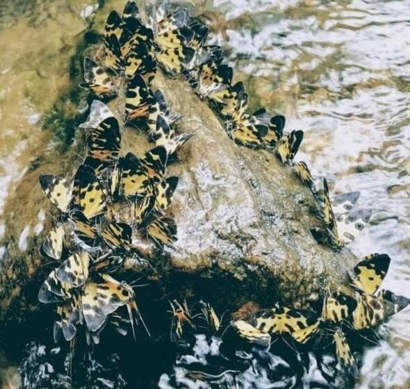 פנסיון Casa Turística Realismo Mágico