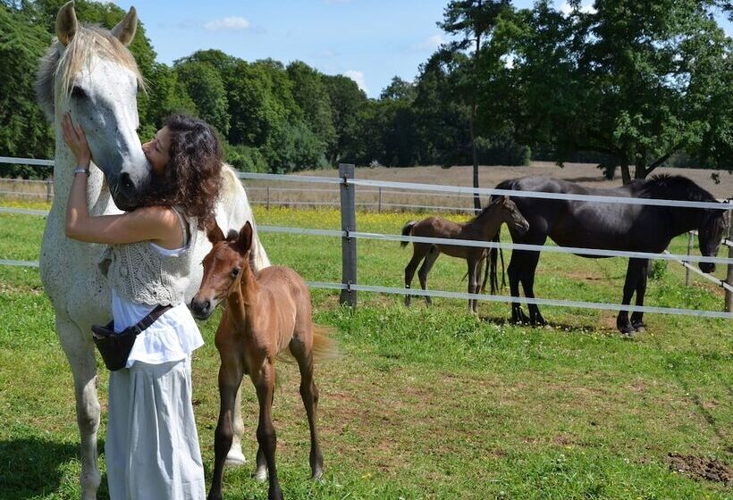 פנסיון Château Des Noces