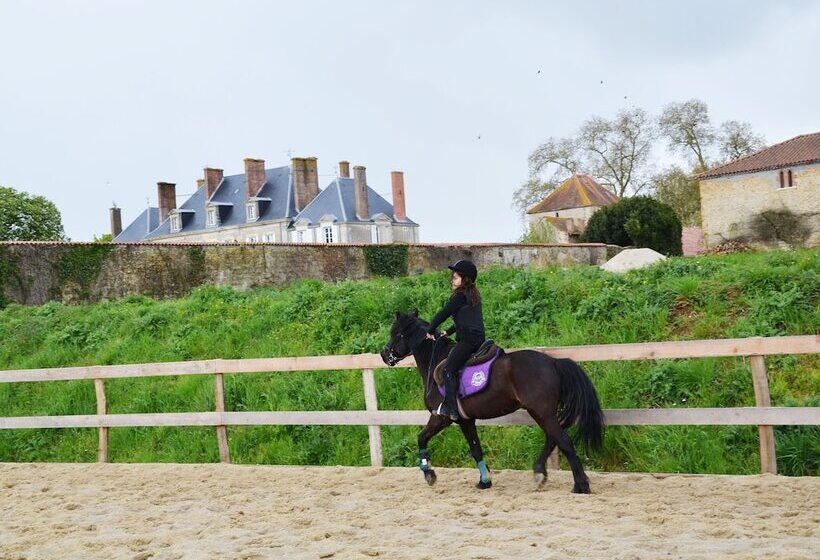 פנסיון Château Des Noces