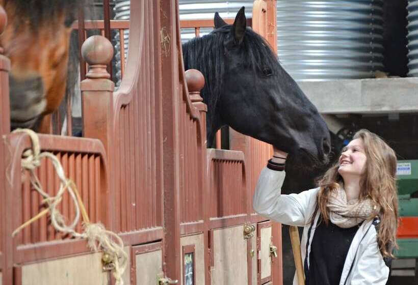 פנסיון Château Des Noces