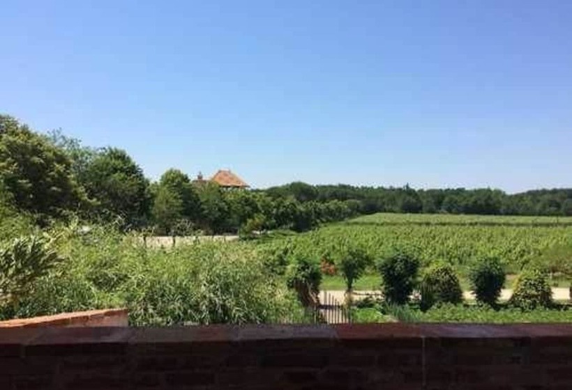 פנסיון Château Saint Louis