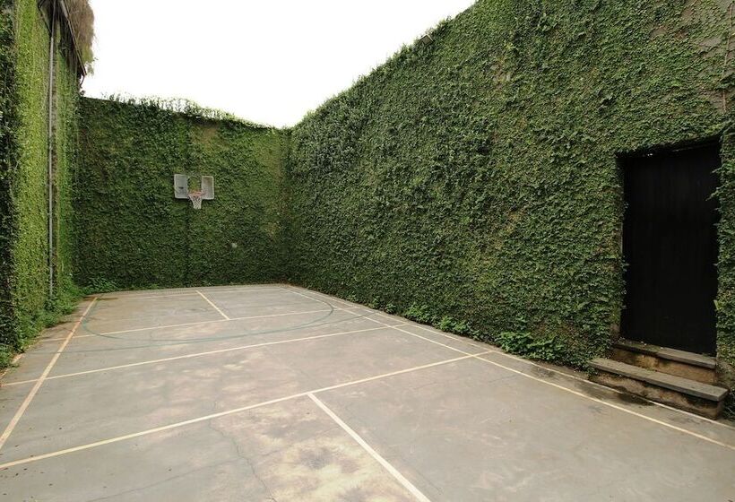 פנסיון Cohaus Living