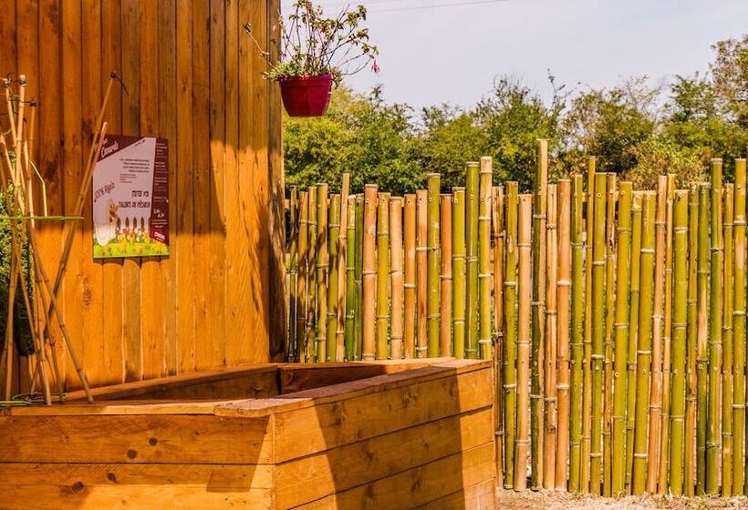 膳宿费 Du Coq à L'âne