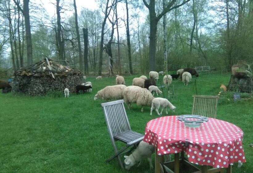 膳宿费 Ferienhof Zum Spreewäldchen