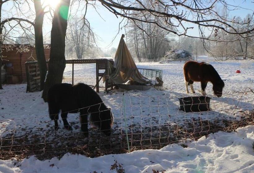 膳宿费 Ferienhof Zum Spreewäldchen