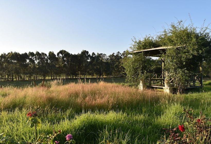 بنسيون Gypsy Creek Winery
