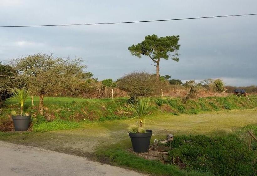 ペンション Ile O Des Capucins