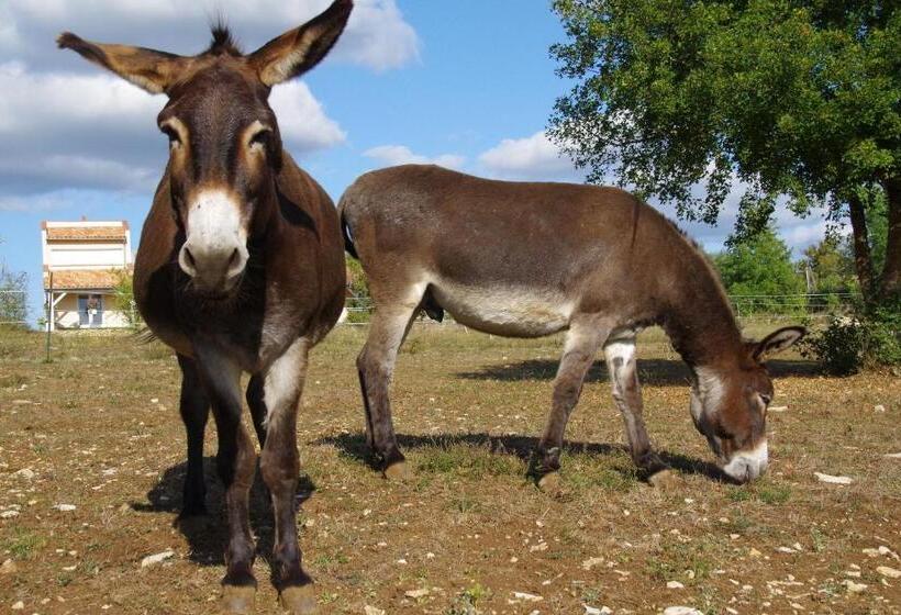 Пансион Junior Suite Le Pied De Mulet