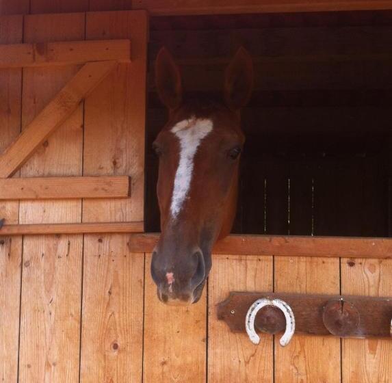 Пансион Junior Suite Le Pied De Mulet