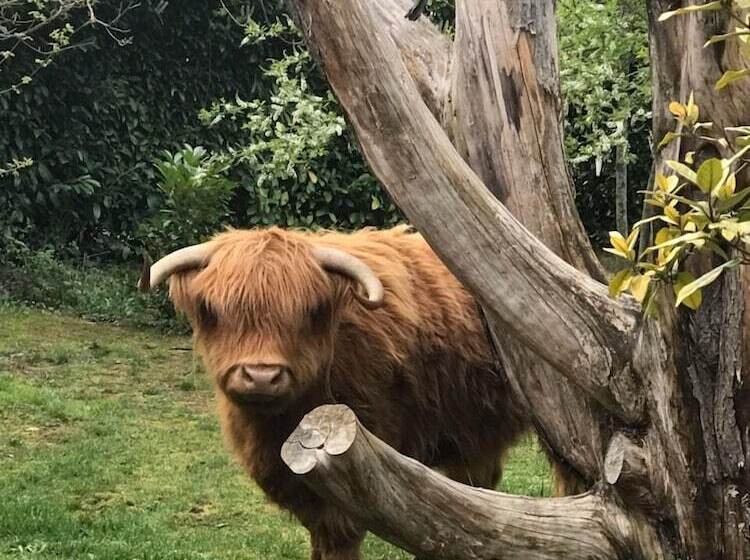 Пансион La Ferme Chauvet