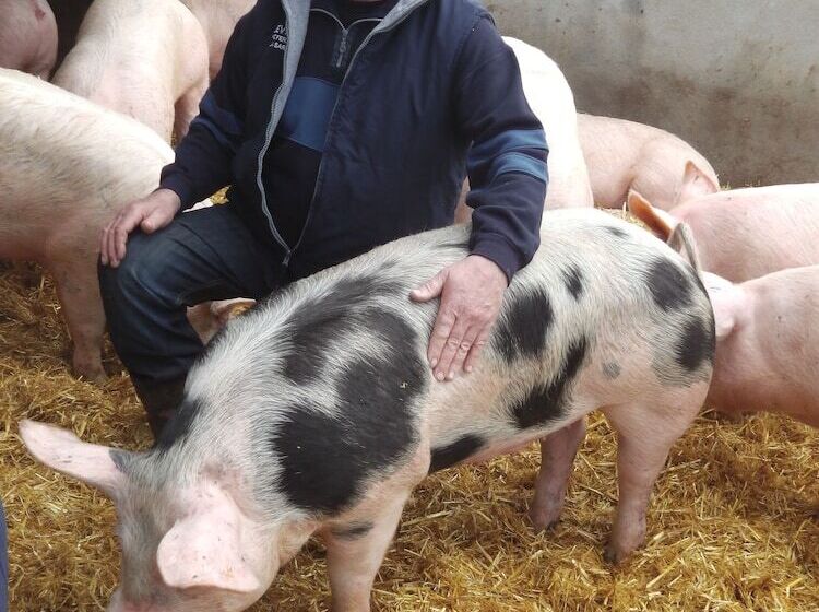 Пансион La Ferme Chauvet