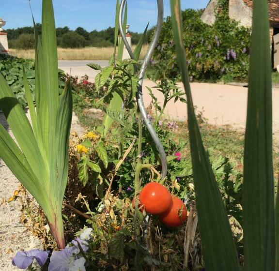 بنسيون La Ferme De La Maugerie