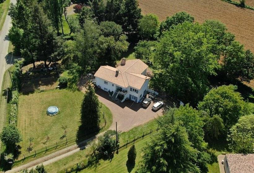 بنسيون La Folie