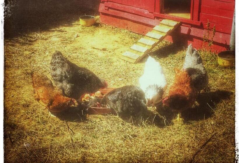 פנסיון La Meridienne Des Collines