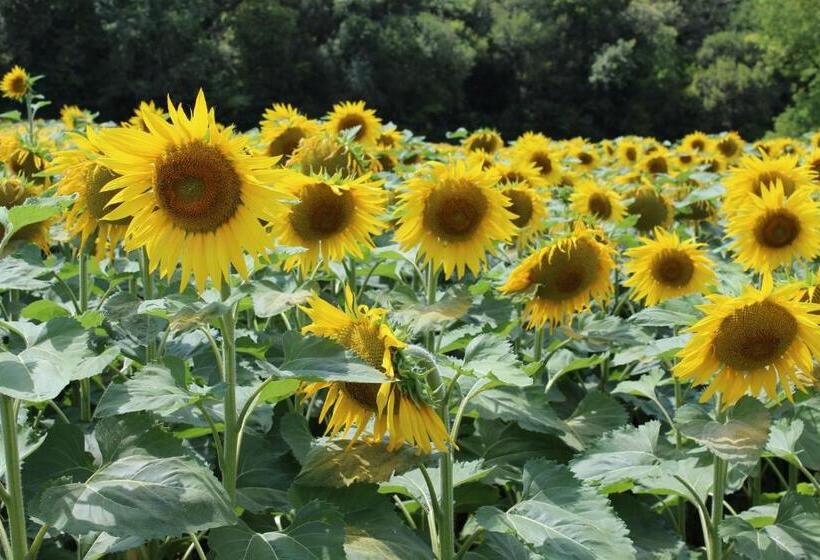 Пансион Le Patio Chambres Et Tables D Hôtes