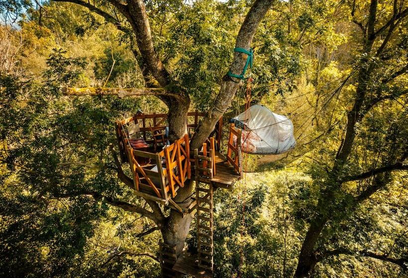 Пансион Les Bulles De La Maison Du Rocher