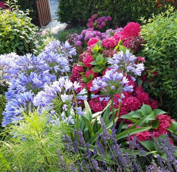 膳宿费 Les Puits Bessin Normandie