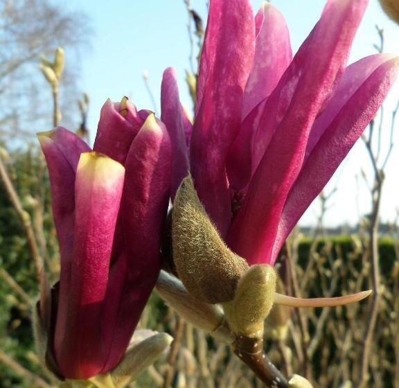 膳宿费 Les Puits Bessin Normandie