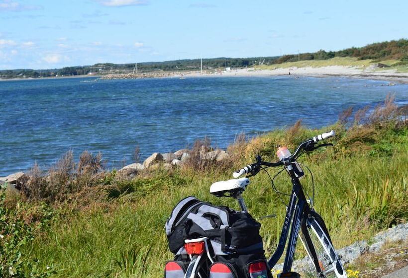 פנסיון åsa Gästis