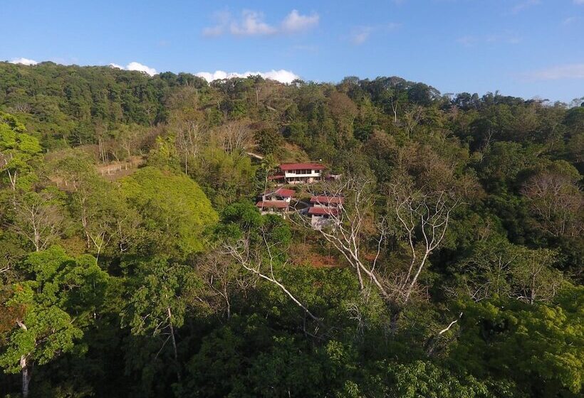 פנסיון Valley Of Dreams Eco Lodge Room