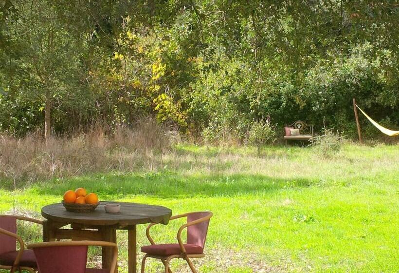 Quiet & Cottage In Estate Casas Da Cerca Near Troviscais