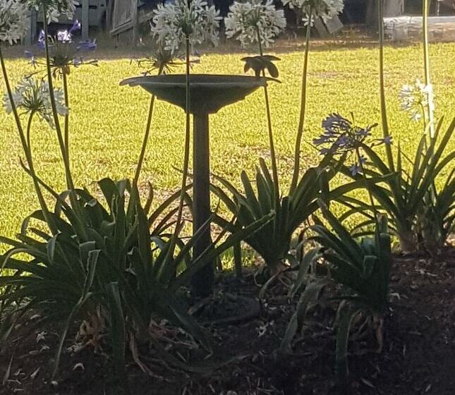 Redtail Ridge Cottages   Adults Only