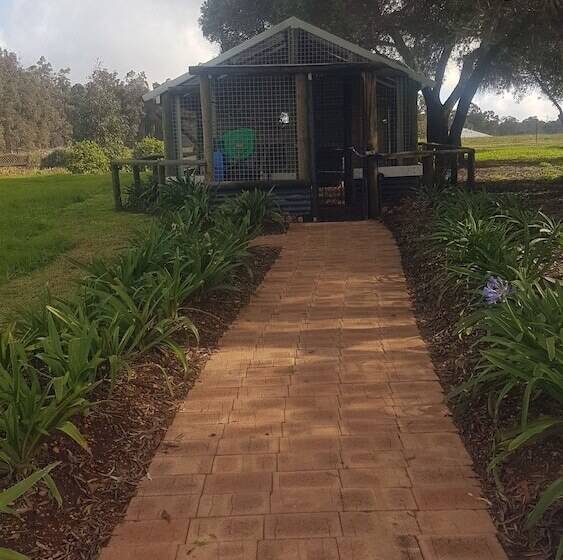 Redtail Ridge Cottages   Adults Only