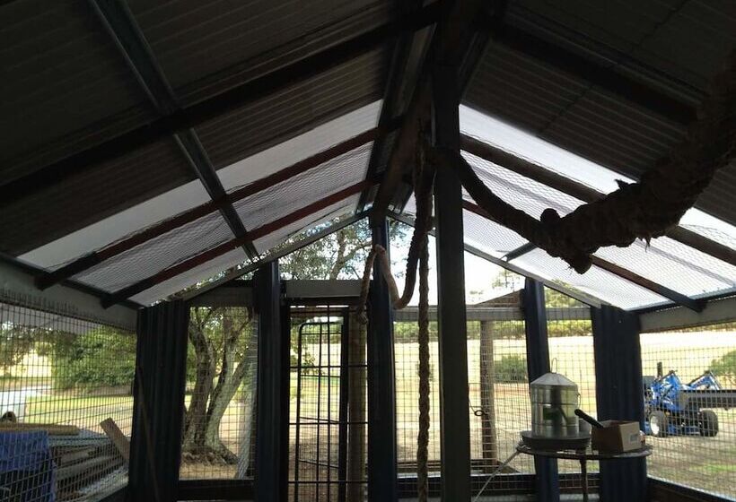 Redtail Ridge Cottages   Adults Only