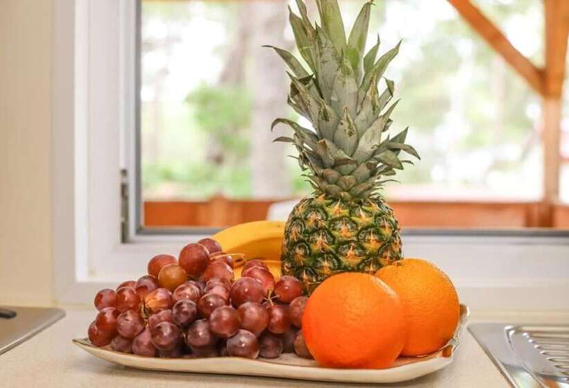 منتجع Mediteran Travel Mobile Homes Basko Polje