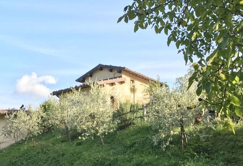 Splendid Cottage In Vergemoli With Barbecue And Garden