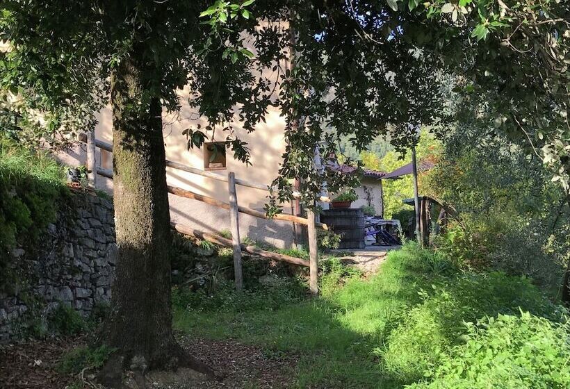 Splendid Cottage In Vergemoli With Barbecue And Garden