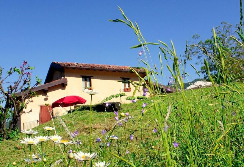 Splendid Cottage In Vergemoli With Barbecue And Garden