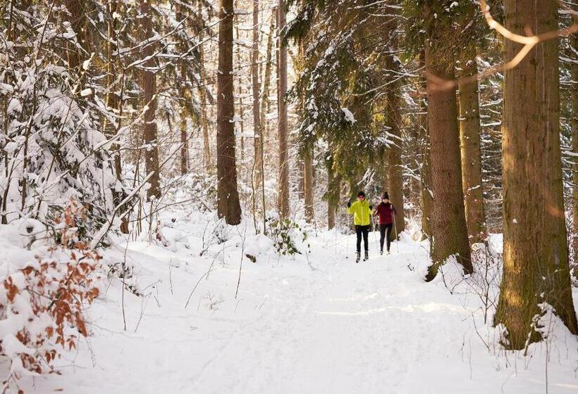 Tannmühle Hotel Und Restaurant Gmbh